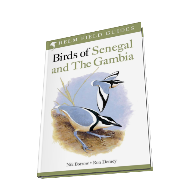 Gambia　Senegal　OPTICS　and　The　OV　TAKAHASHI　Birds　of