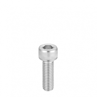 1/4 -20 UNC Inbusbout, 12mm