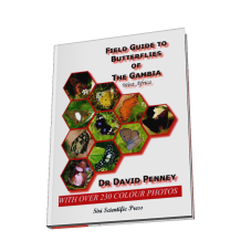 Field Guide Butterflies of The Gambia & West Africa