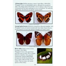 Field Guide Butterflies of The Gambia & West Africa