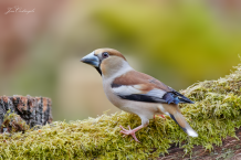 Huisregels en informatie